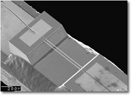 SEM image of Microflown element